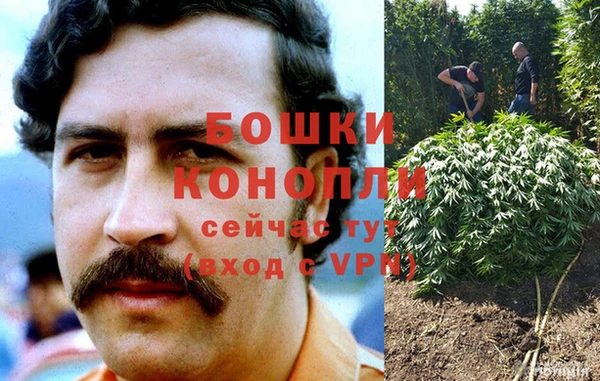 марки lsd Белокуриха
