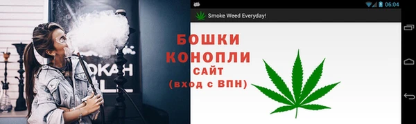 марки lsd Белокуриха