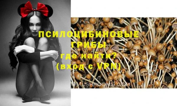 марки lsd Белокуриха