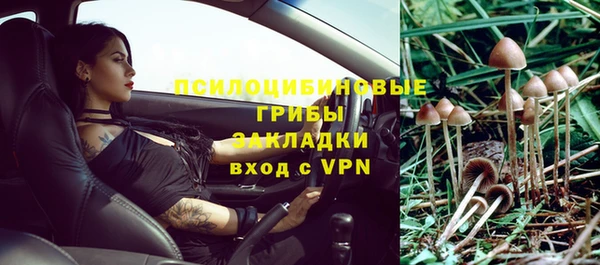 PSILOCYBIN Ступино