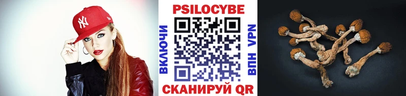 цена наркотик  Красный Сулин  сайты даркнета клад  Галлюциногенные грибы GOLDEN TEACHER 